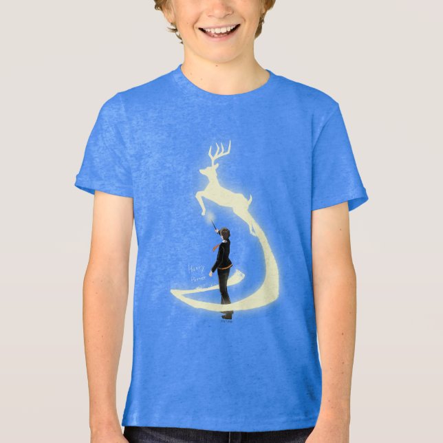 HARRY POTTER™ Pintura do Patrono (Frente)