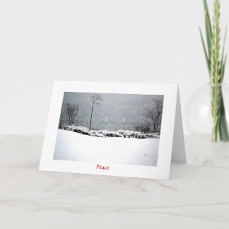 Hartley Mason Park - Cartão de Férias - Paz