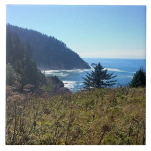 Hart's Cove, Costa do Oregon