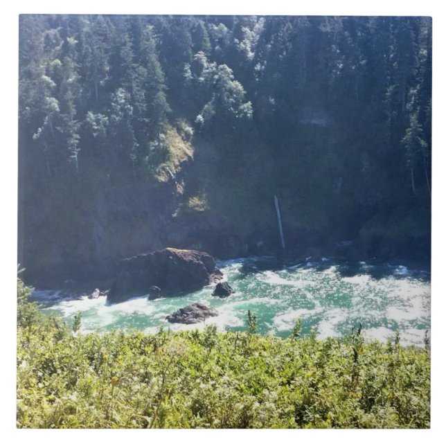 Hart's Cove, Oregon Coast (Frente)