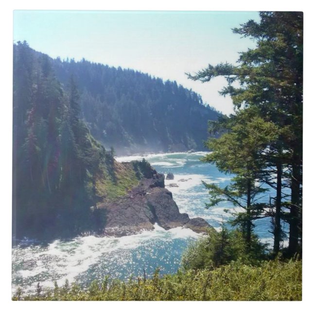 Hart's Cove, Oregon Coast (Frente)