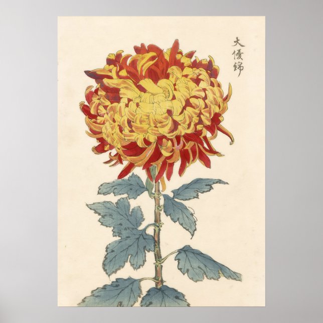 Hasegawa Chrysanthemum Wood Block Impressão # 121 (Frente)