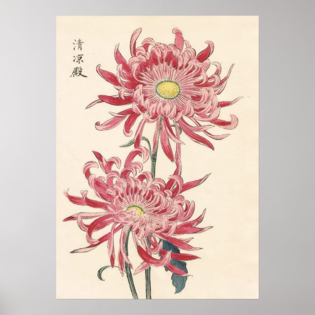 Hasegawa Chrysanthemum Wood Block Impressão #171 (Frente)