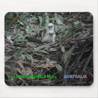 Hatchlings S1 & S2 Mousepad horizontal