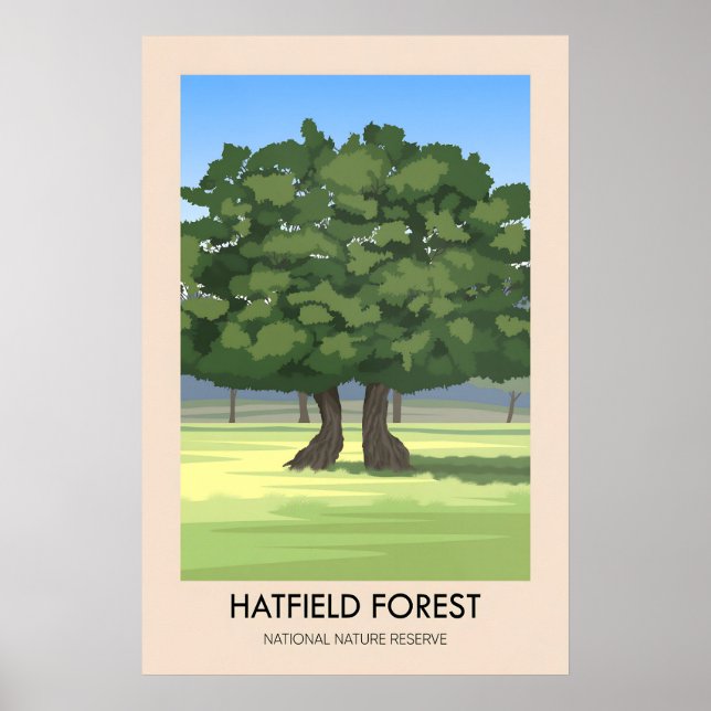 Hatfield Forest Travel Poster (Frente)