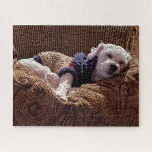 Havanês - Puppy Napping - Quebra-cabeça do serro