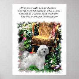 Havanese Art Impressão