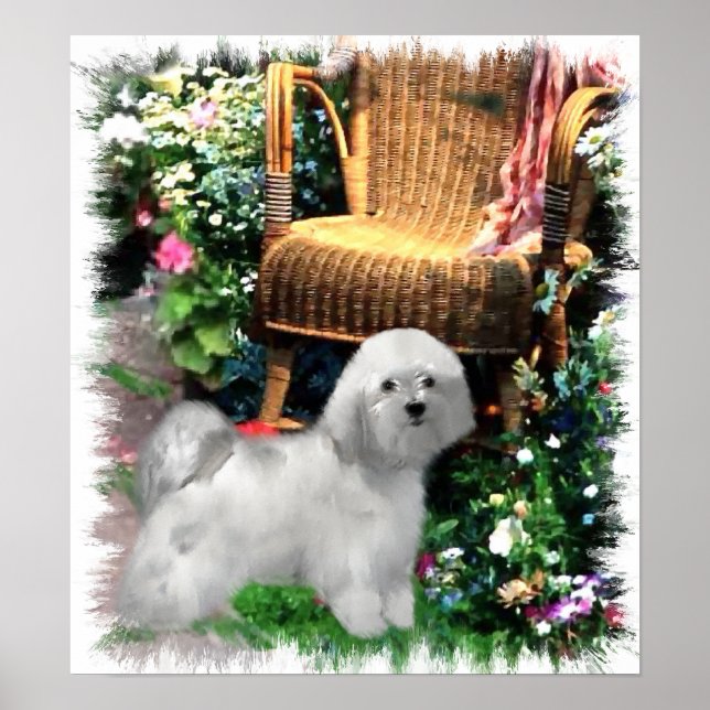 Havanese Art Impressão (Frente)