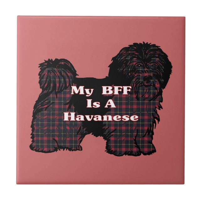 HAVANESE BFF (Frente)
