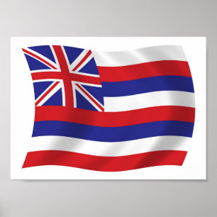 Hawaii Flag Poster