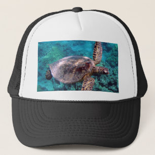 Hawaii Honu Turtle Boné