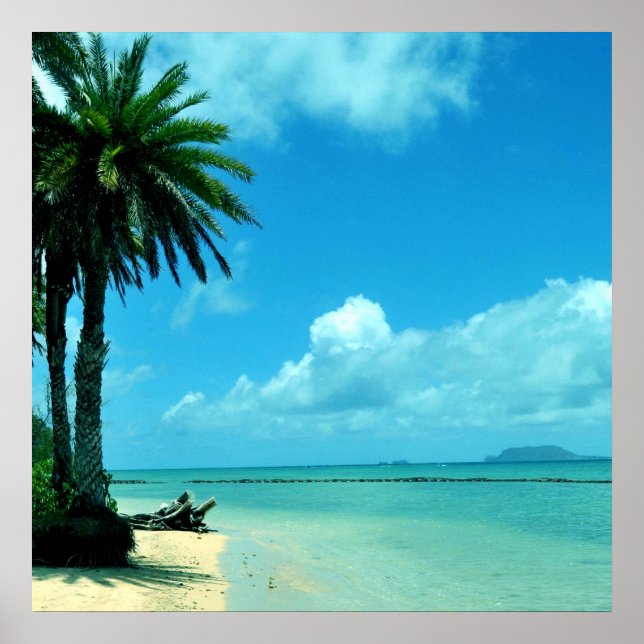 Hawaii Scenic Tropical Beach Poster (Frente)