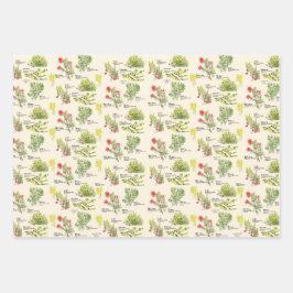Hawaii Volcano Native Plants Wrapping Paper