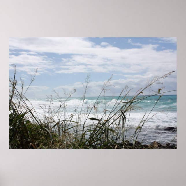 Hawaiian Seascape Poster (Frente)