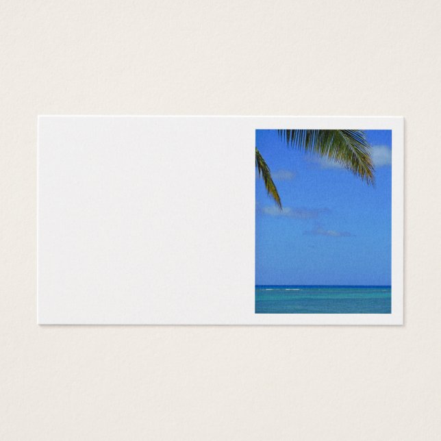 Hawaiian Waters (Frente)