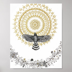 Hawk Dreams 8x10 Impressão