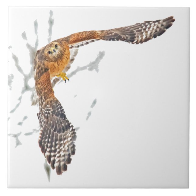 Hawk em Voo (Frente)