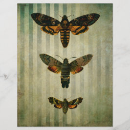 Hawk Moths Vintage Ephemera