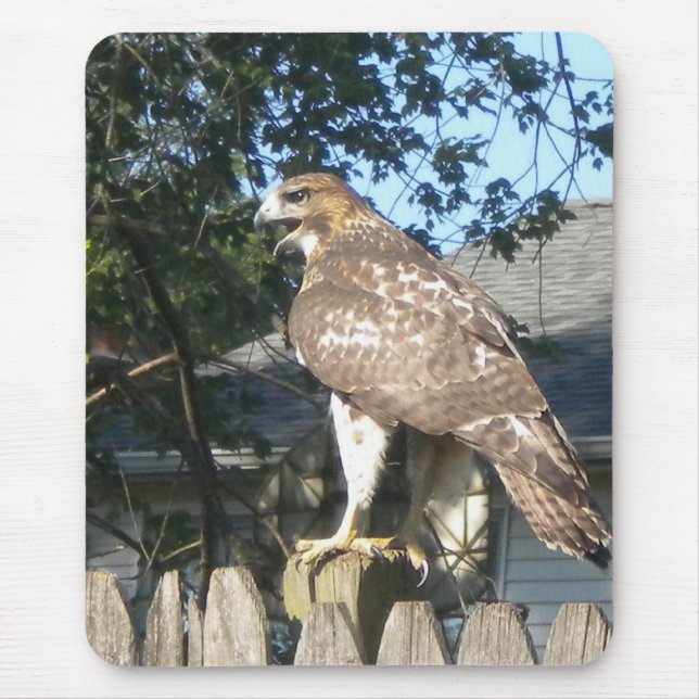 Hawk Mousepad (Frente)