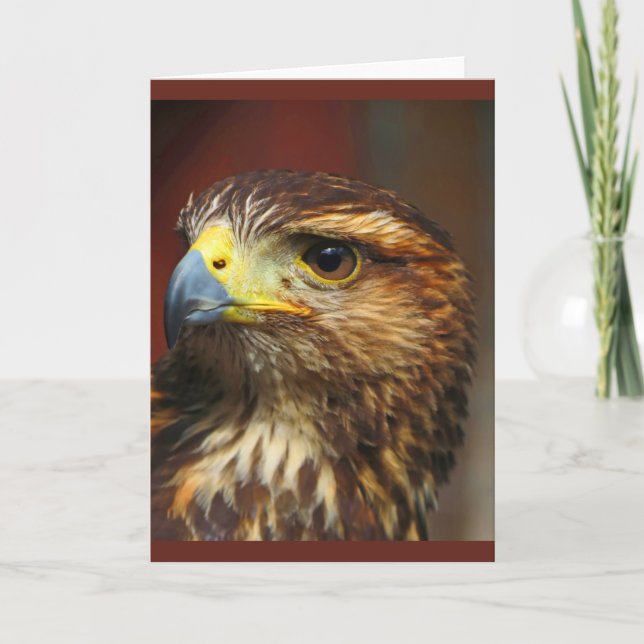 Hawk procurando cartão de almoço (Frente)