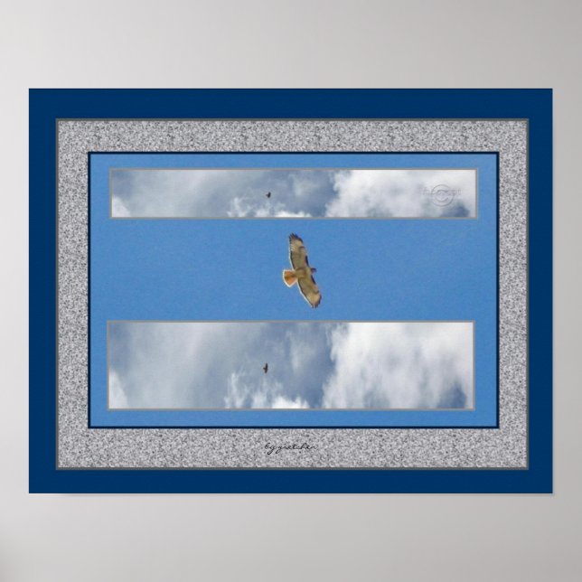 Hawk Soaring Collage 2 Photo Poster by gretchen (Frente)