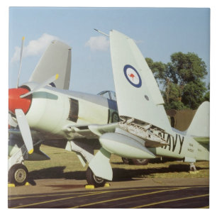Hawker Sea Fury no CAF, Minnesota Wing, no