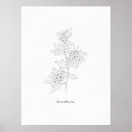 Hawthorn Flower Line Art Impressão