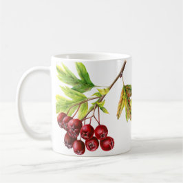 Hawthorn & rosa hip botânica, caneca verde