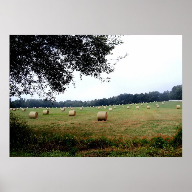 Hay Bales de Ocala Florida poster fotografia art (Frente)