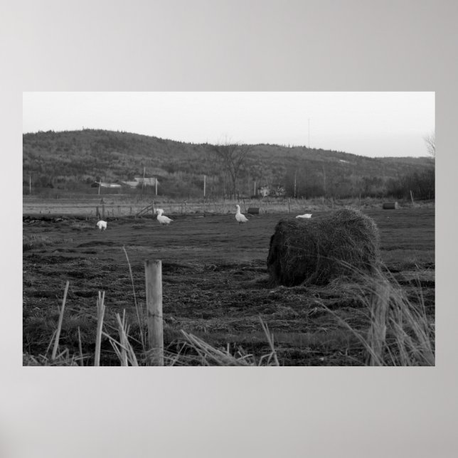 Hay Days Impressão (Frente)