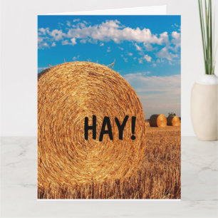 HAY FUNNY PUN HELLO Cartões de saudação