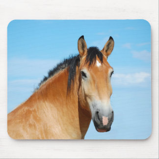 Headshot Mousepad de Gulliver