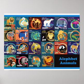 Hebraico - Poster de alfabeto