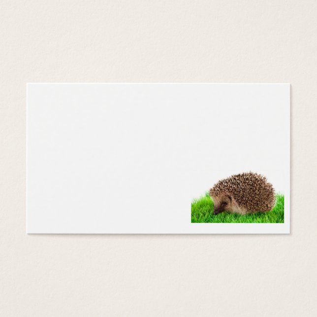hedgehog (Frente)