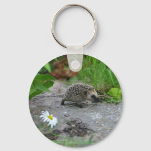 Hedgehog chaveiro