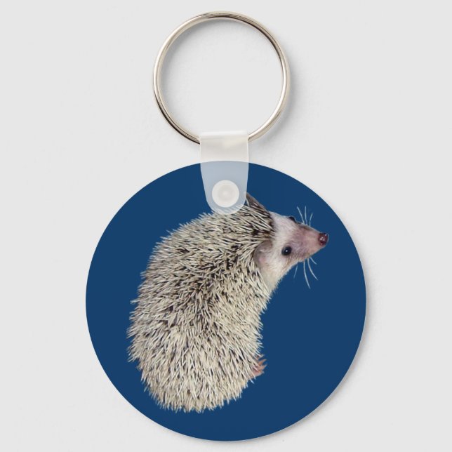 Hedgehog Chaveiro 2 (Frente)