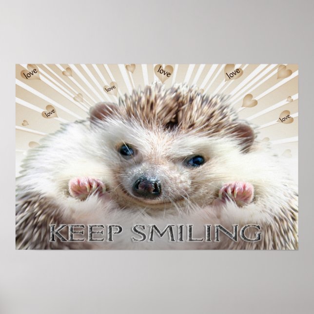 HEDGEHOG KEEP SMILING POSTER (Frente)