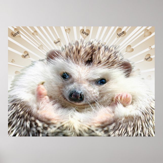 Hedgehog Love Poster (Frente)