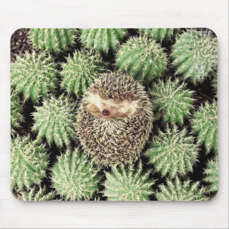 Hedgehog Mousepad