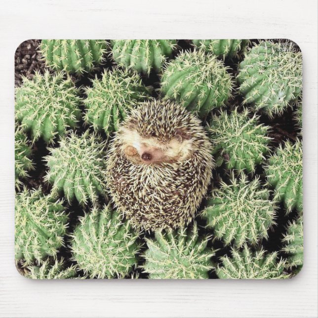 Hedgehog Mousepad (Frente)