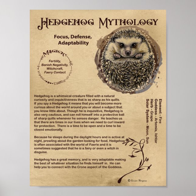 HEDGEHOG MYTHOLOGY POSTER (Frente)
