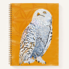 Hedwig