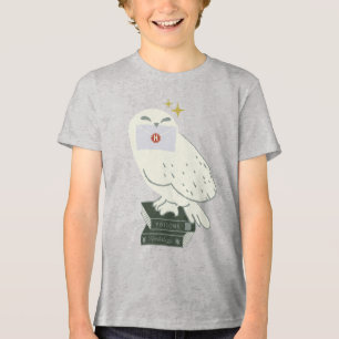 Hedwig com Desenho Caprichoso de Carta