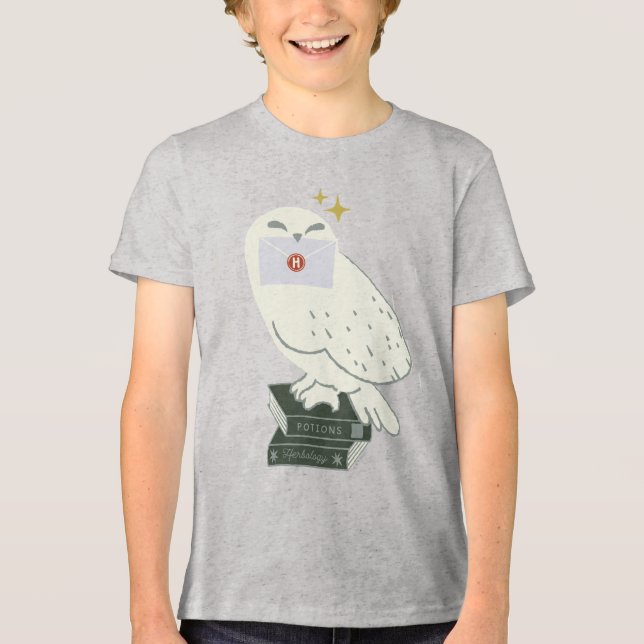 Hedwig com Desenho Caprichoso de Carta (Frente)