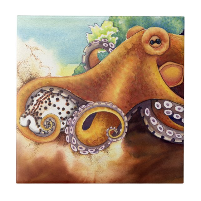 He'e e Cowry (Frente)