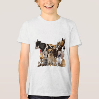 Heimer Ribbon Heimer Heimer Heimer Premium de Sens