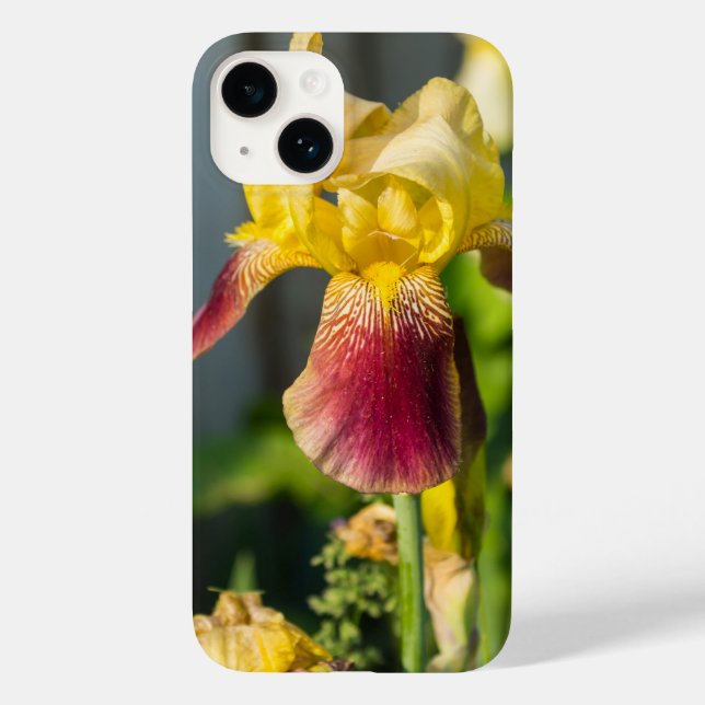 Heirloom Iris capas de iphone (Verso)