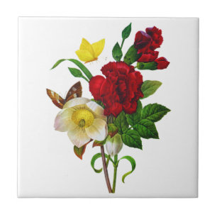 Helebore, Rosa de Natal de Pierre Joseph Redoute