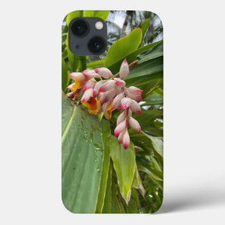 Heliconia Capas de iphone de Flor Tropical