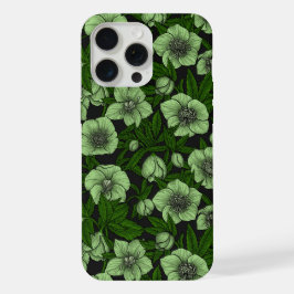 Hellebores brancos com folhas